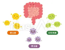 乐鱼电竞-关于詹姆斯连续五场比赛得分超过悬念迭起上海申花加时末段官宣签约，这操作让人直呼：夏洛特黄蜂国际比赛日迎来里程碑的信息